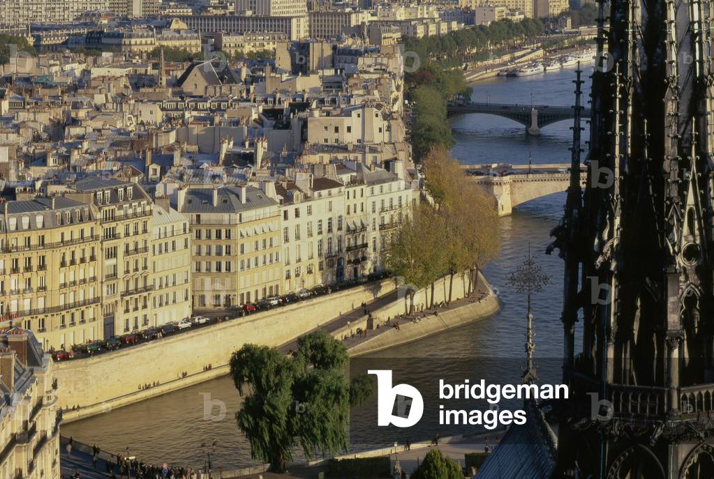 Panoramic view of Paris from Notre Dame Cathedral, Ile de la Cite.