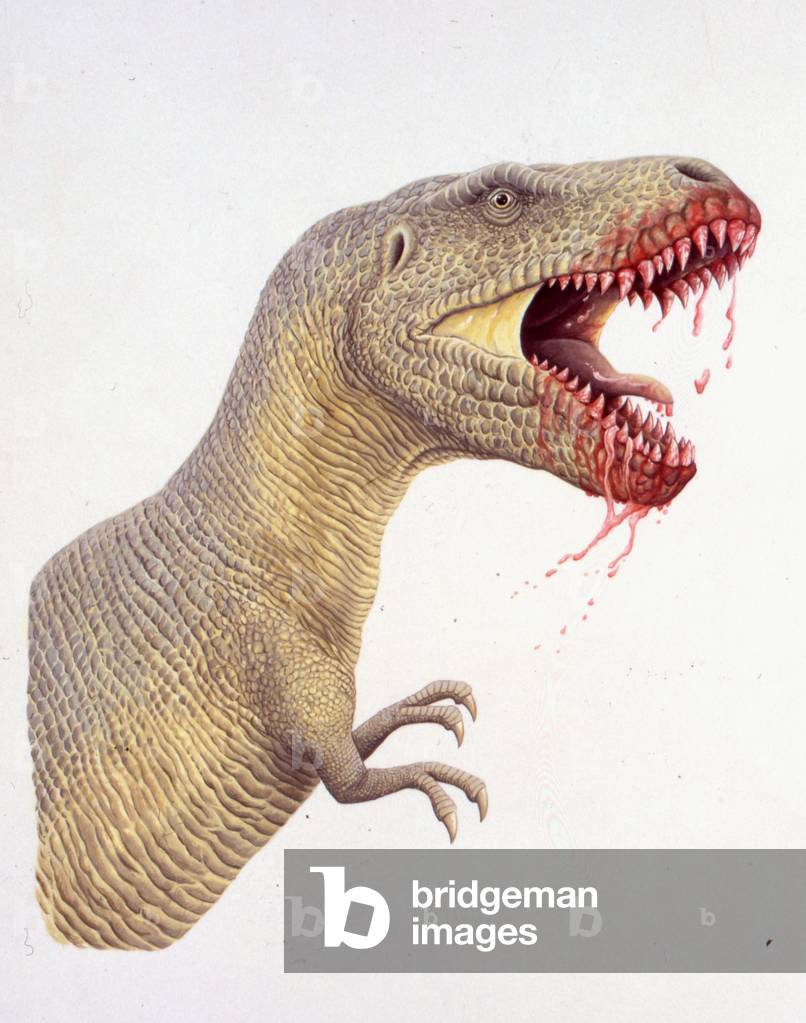 Palaeozoology, Cretaceous period, Dinosaurs, Tyrannosaurus rex, illustration by Chris Turnball
(photo)