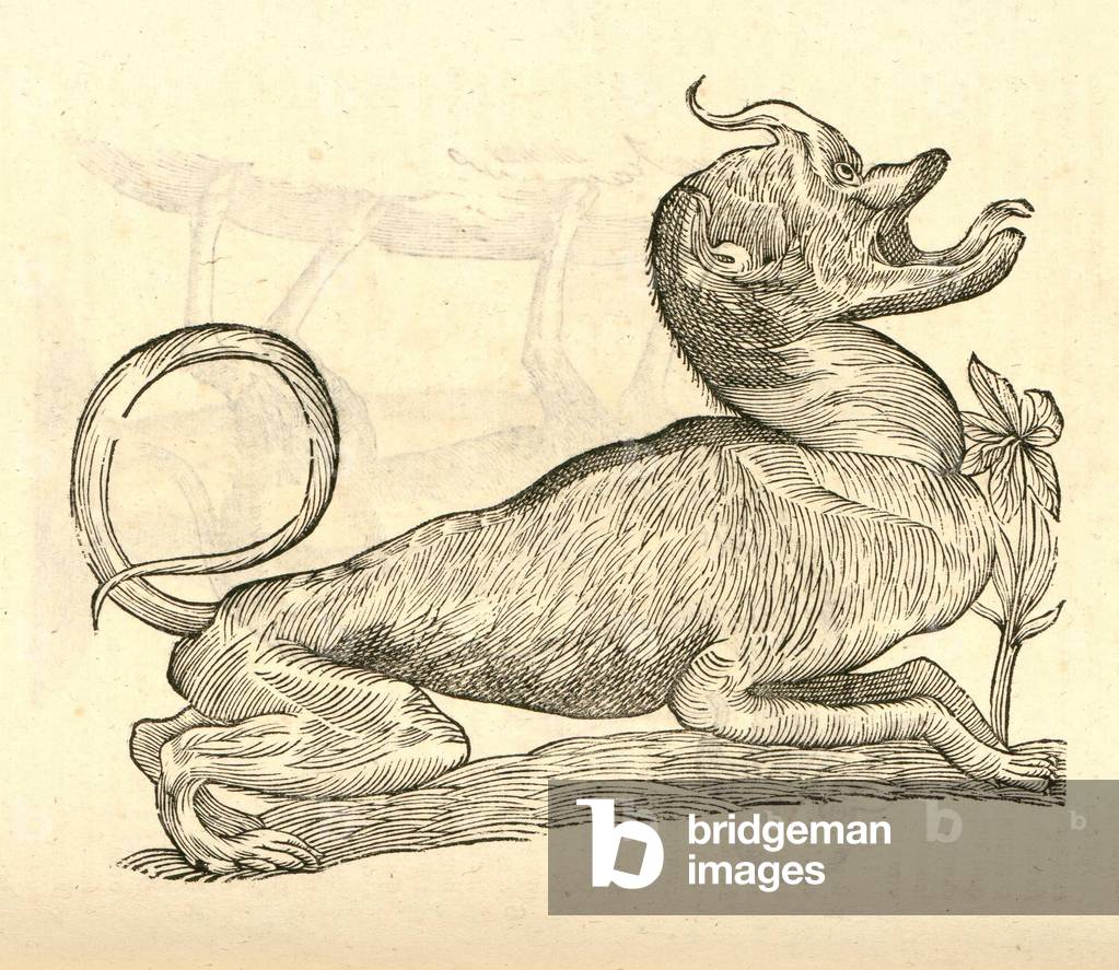 illustration of 