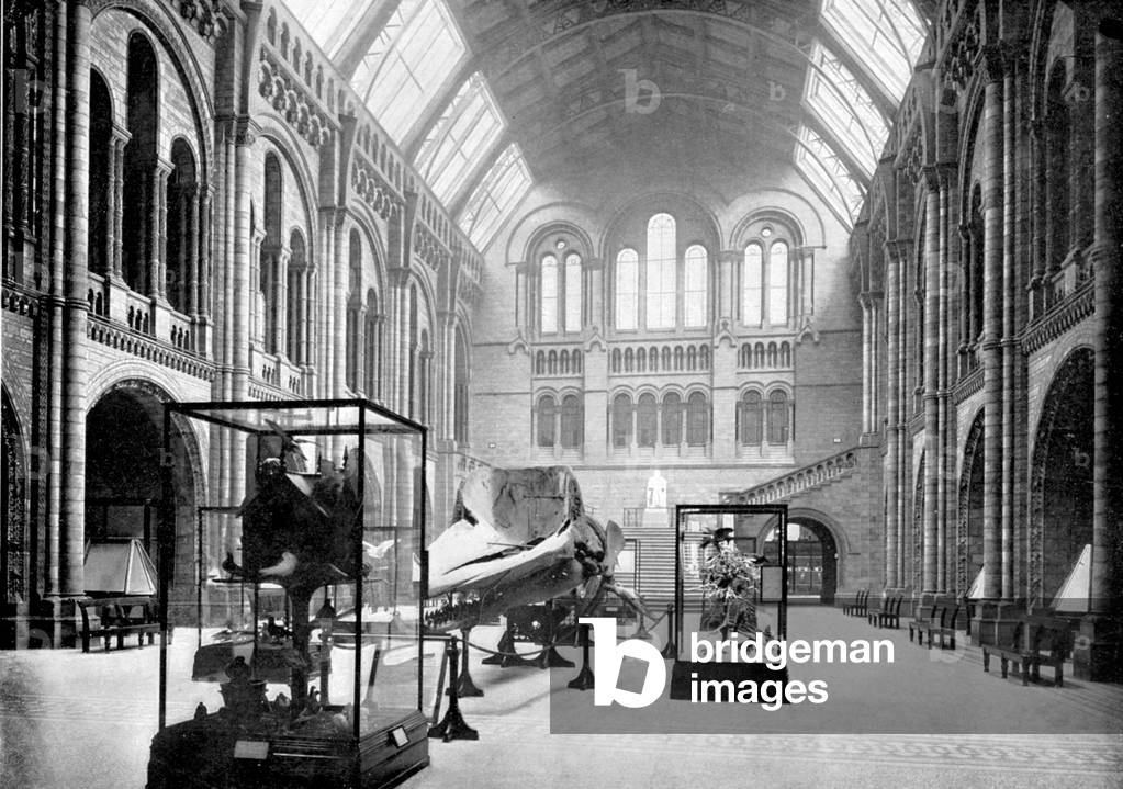 Entrance Hall of the Natural History Museum, South Kensington, London, 1890 (photo)