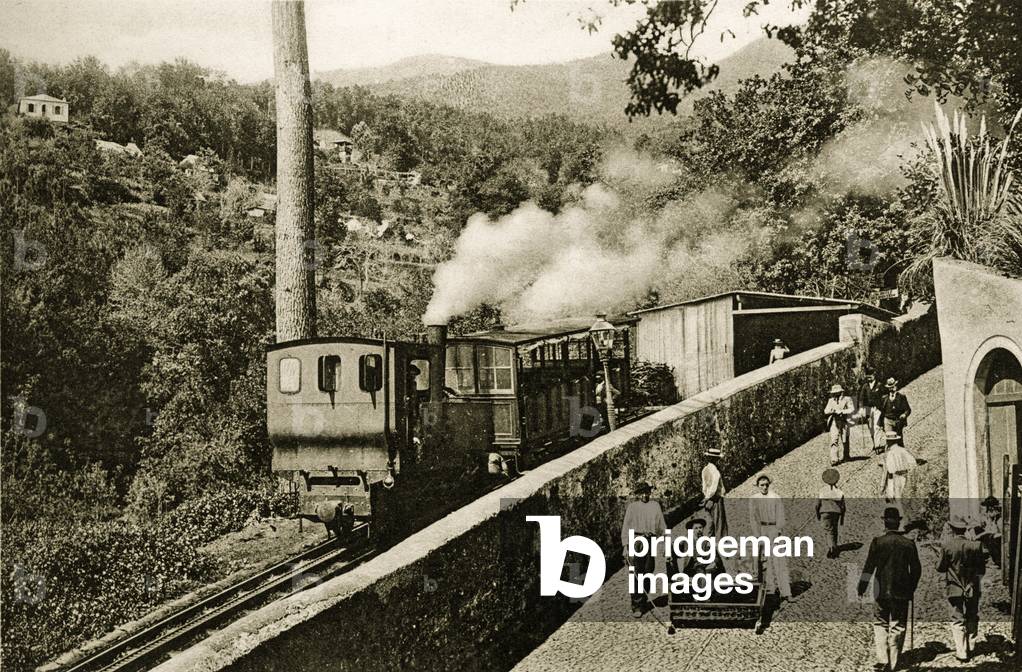 View of the Cogwheel Railway (Caminho de Ferro do Monte), Funchal, Madeira. C.1900 (photo)
