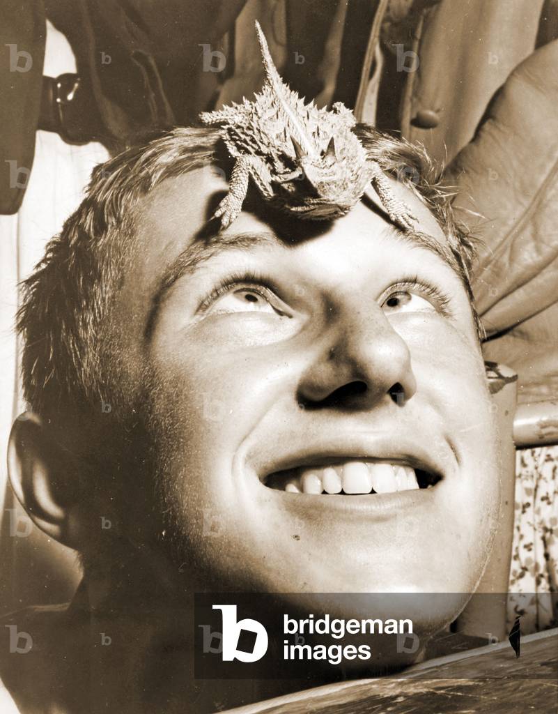 American Boyscout with a Horned Toad on his head, Brooklyn New York c.1943 (b/w photo)