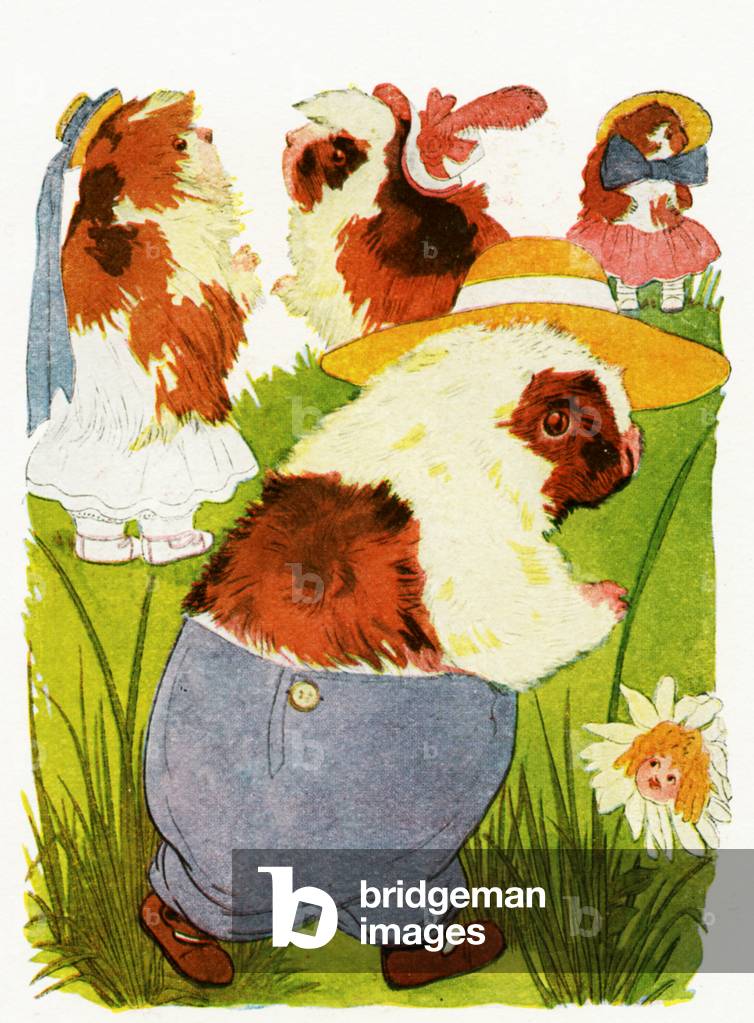 Merry Guinea Pigs, 1913 (colour litho)