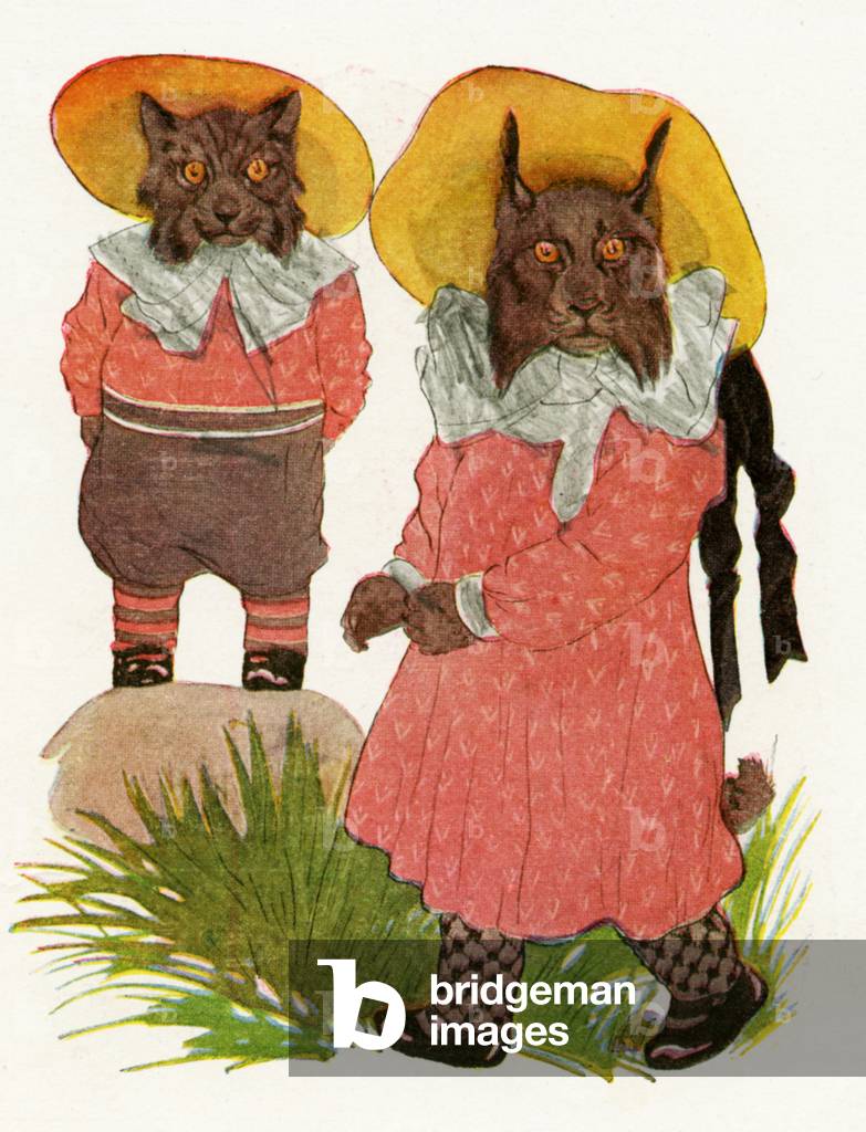 Bobcat and Canadian Lynx, 1913 (colour litho)