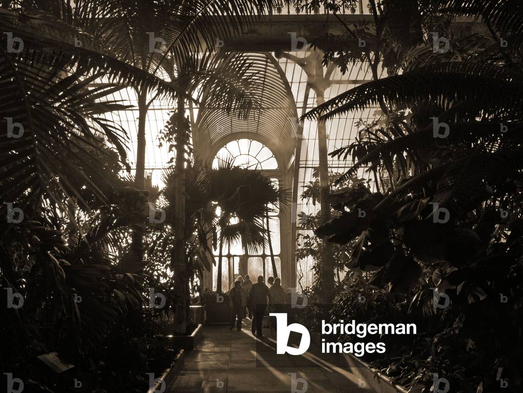 Inside the The palm House, Kew Gardens, London. (photo)