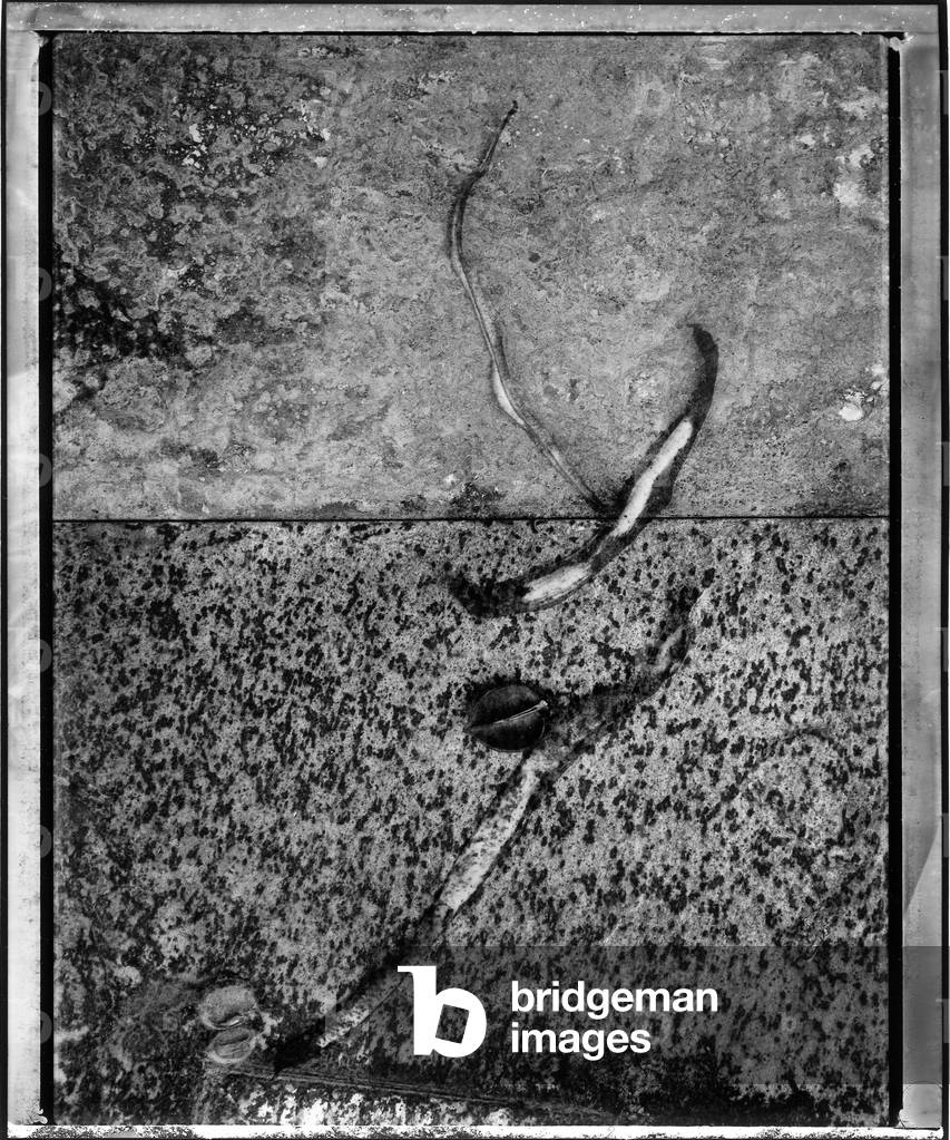 Untitled (photography)