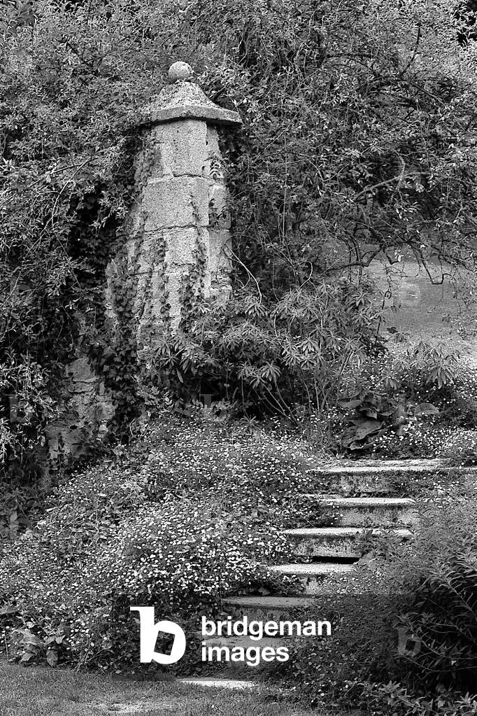 Untitled (photography)