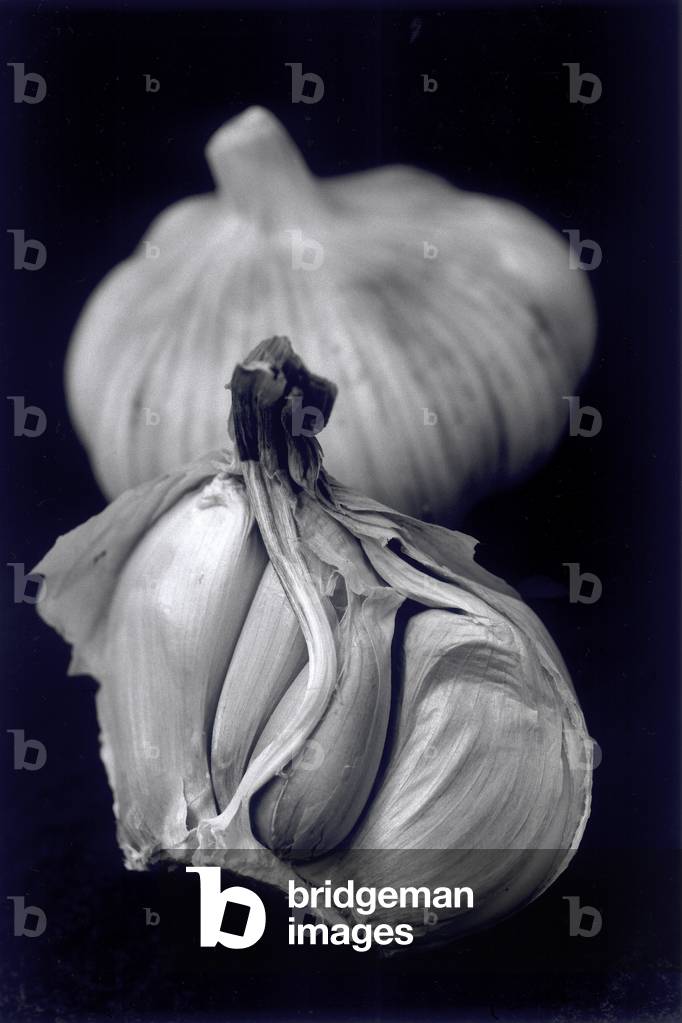 Untitled (photography)