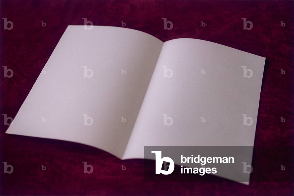 Untitled (photography)