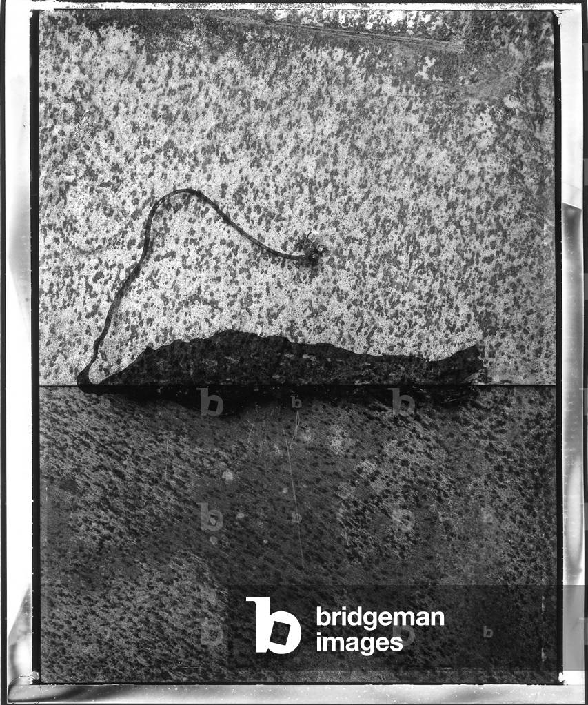 Untitled (photography)