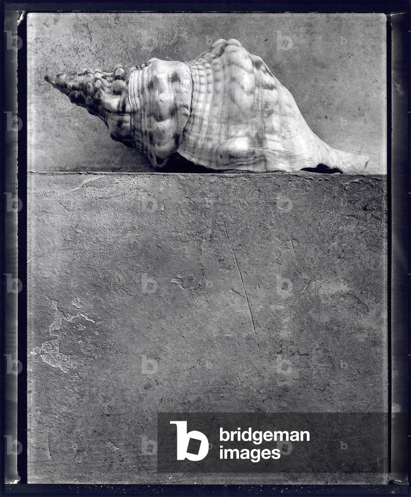 Untitled (photography)