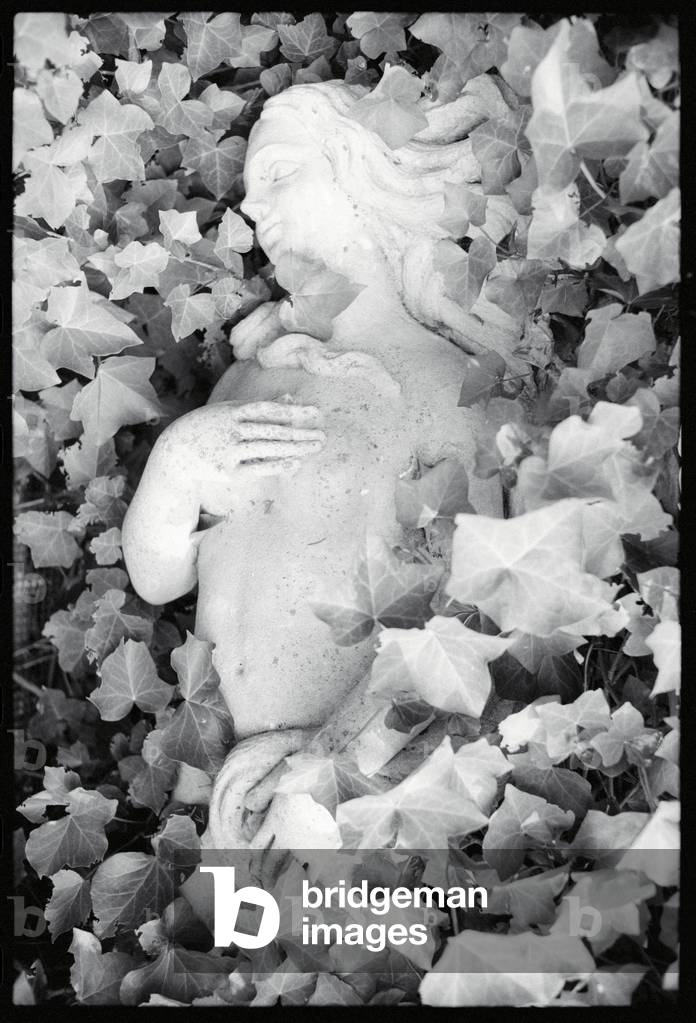 Untitled (photography)