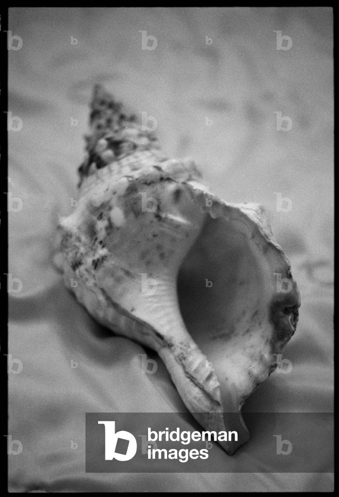 Untitled (photography)