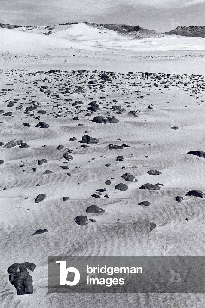 Untitled (photography)