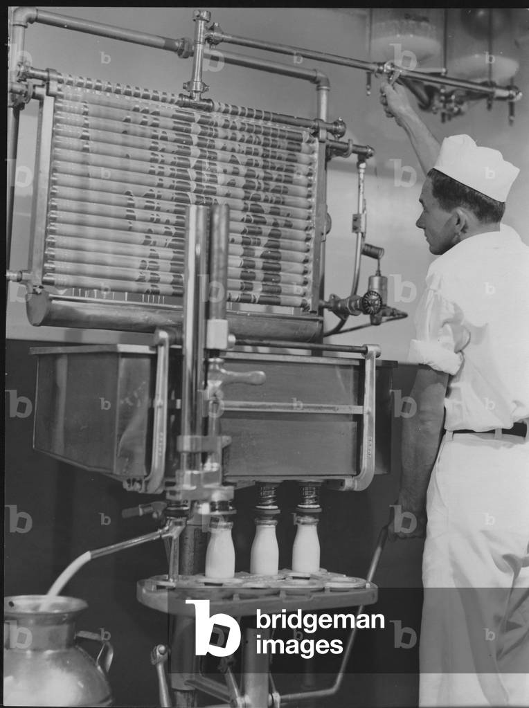 Bottling Milk, 1935-36 (b/w photo)