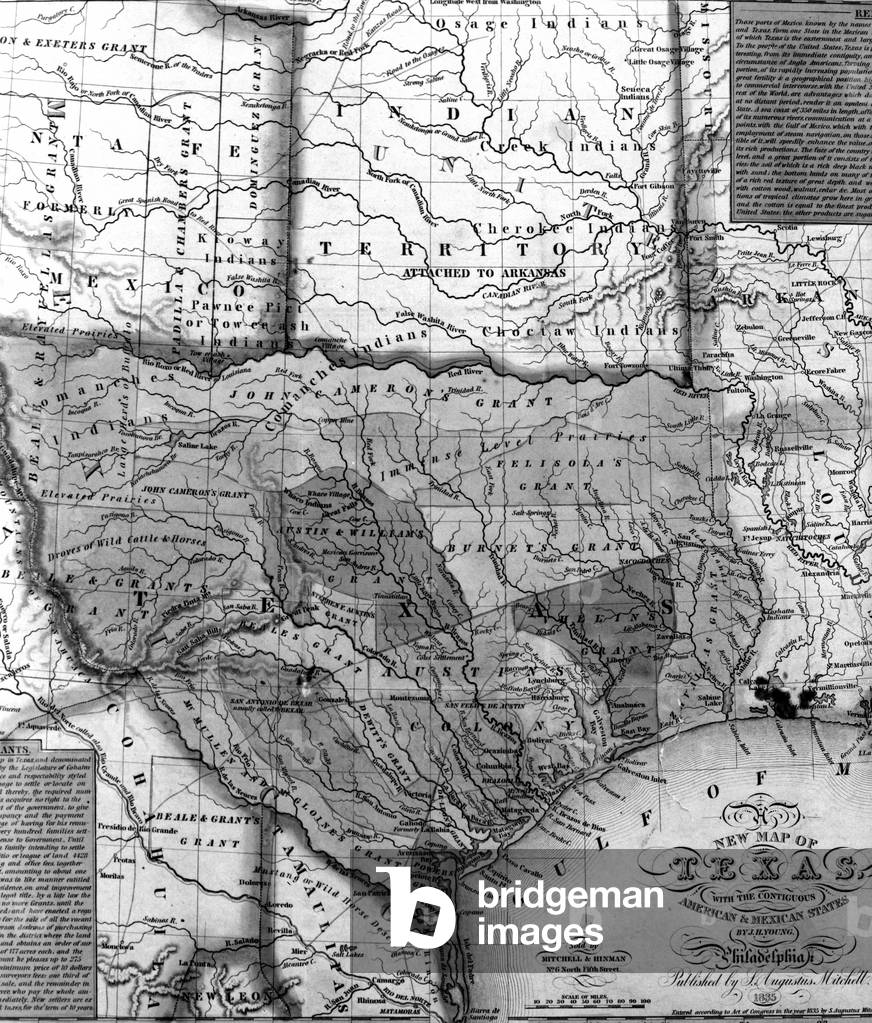 Mitchell's Map of Texas, 1835 (litho) (detail of 241191)