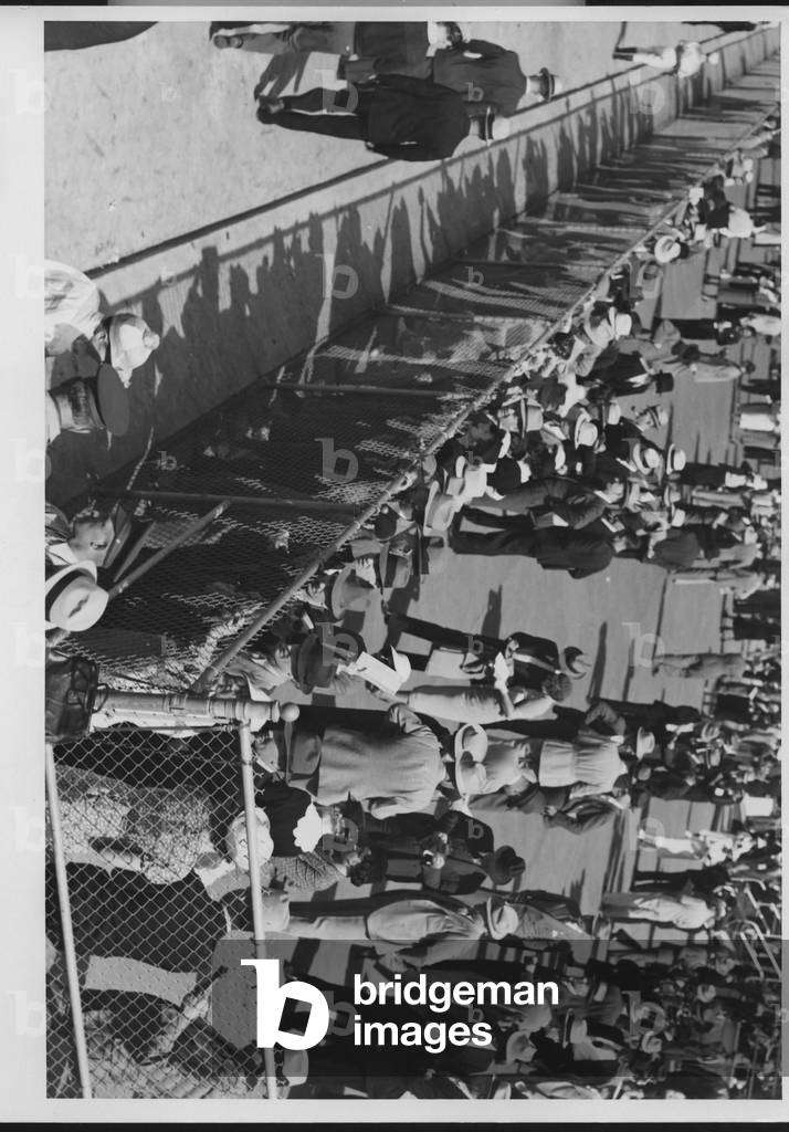 Crowd at Racetrack, 1935-36 (b/w photo)
