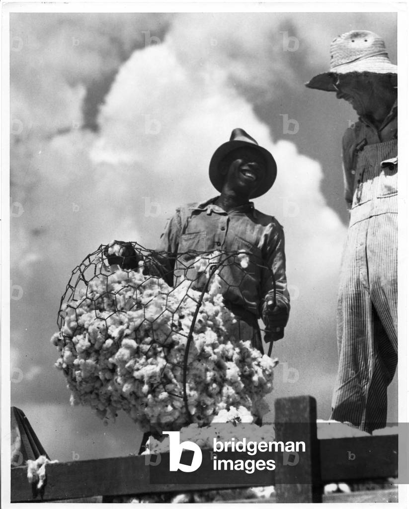 Cotton worker, Texas, 1935-36 (b/w photo)