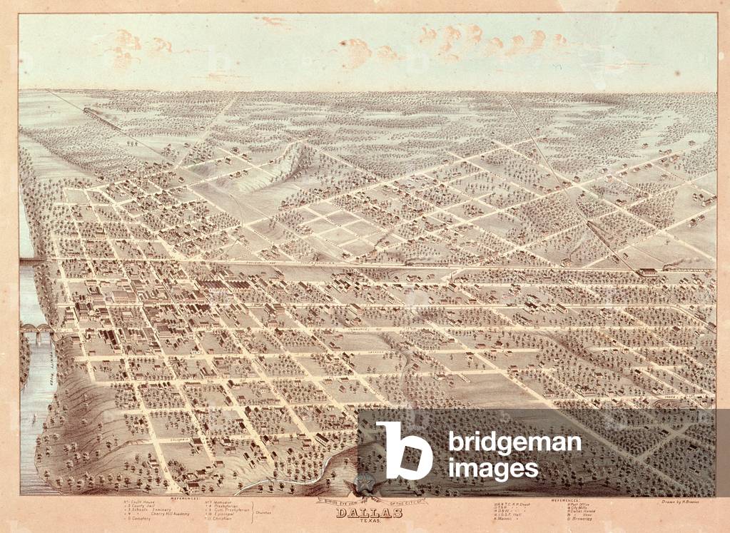 Street map of Dallas, Texas, 1872 (colour litho)