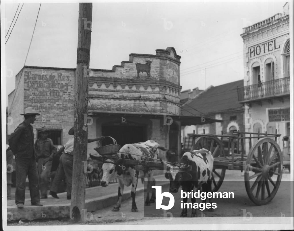 Mexican Border Scene, 1935-36 (b/w photo)