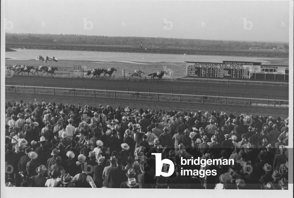 Race Horses, 1935-36 (b/w photo)