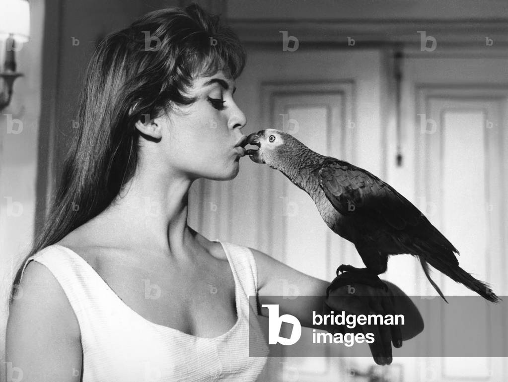 Cette sacrée gamine (Naughty Girl), 1955 (film still)