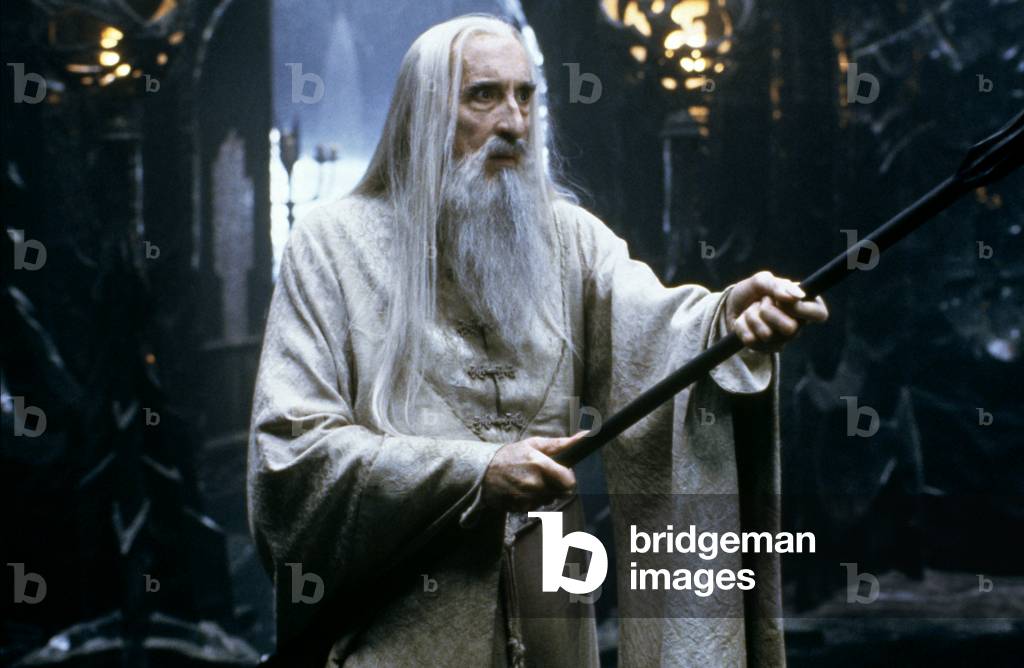 The Lord of the Rings: The Fellowship of the Ring by Peter Jackson, 2001