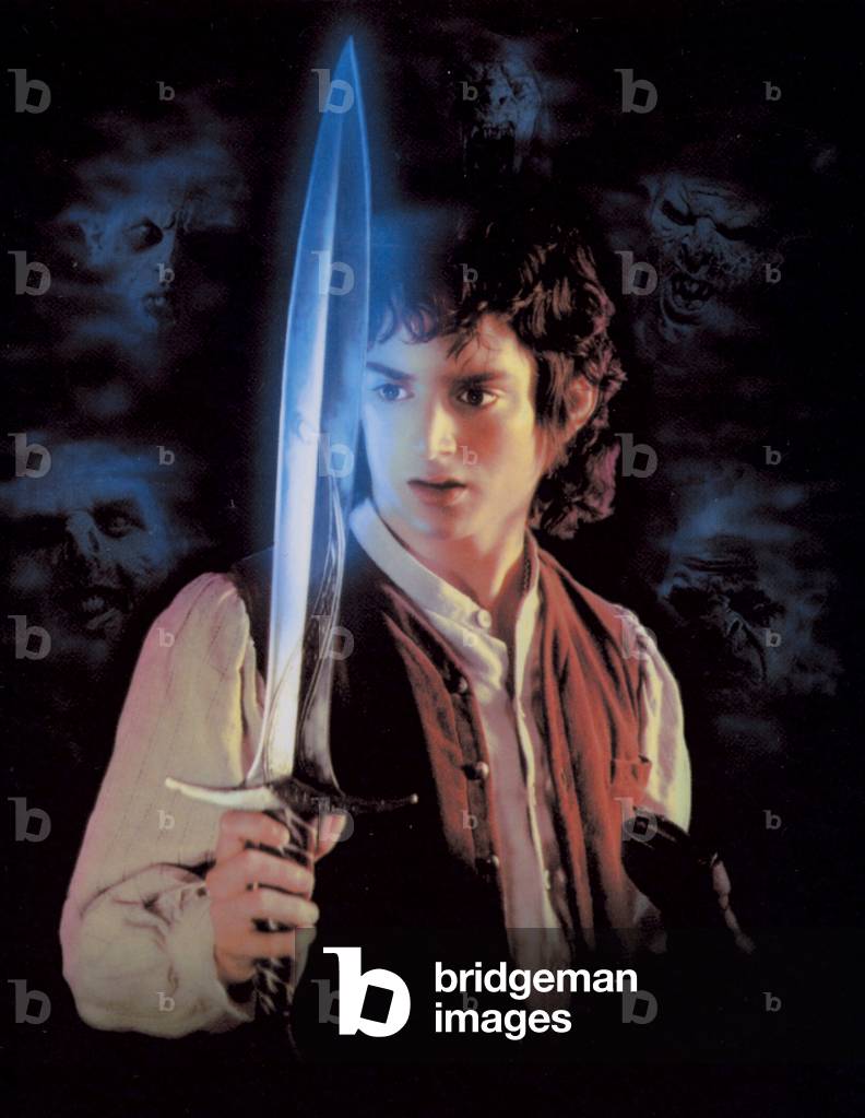 The Lord of the Rings: The Fellowship of the Ring by Peter Jackson, 2001