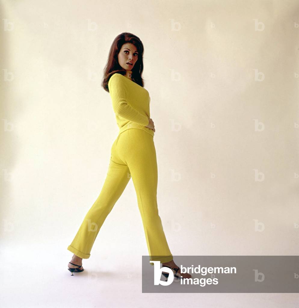 Raquel Welch, 1970s (photo)