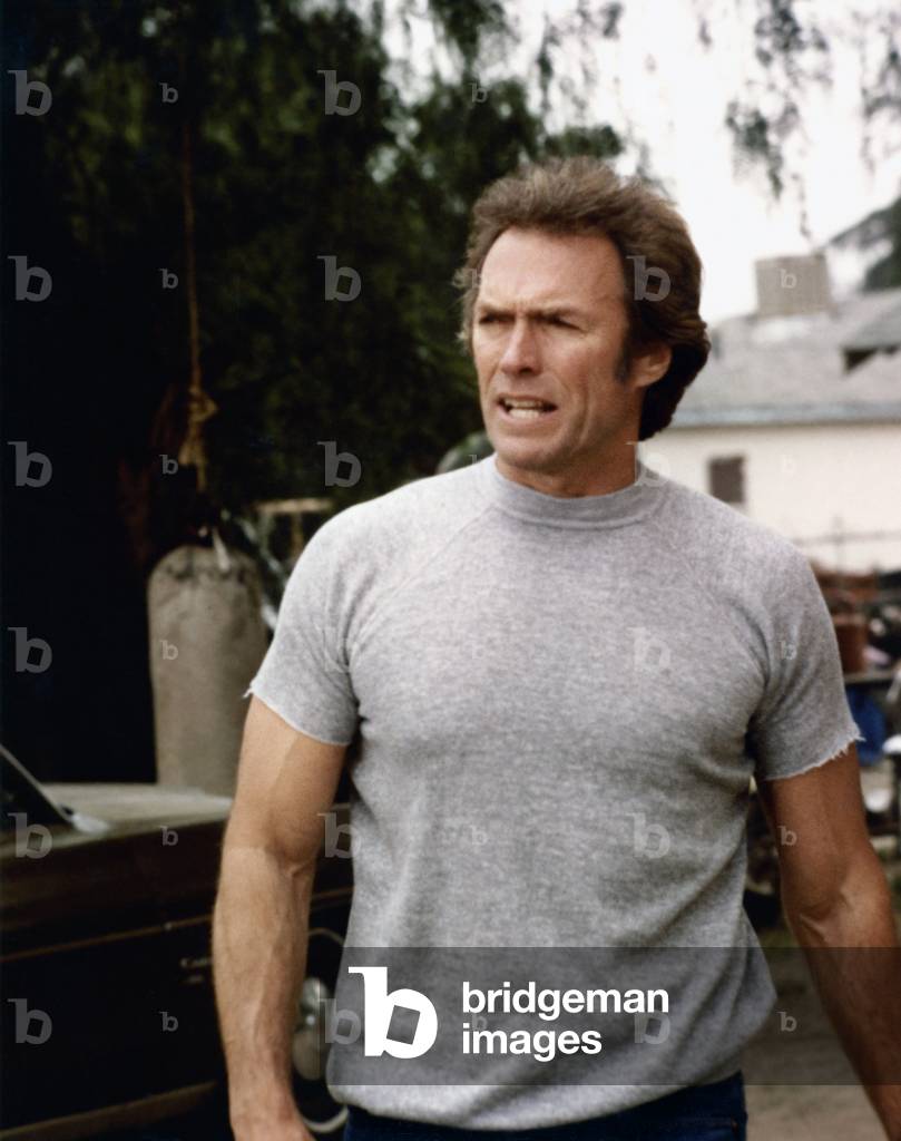 Any Which Way you can directed by Buddy Van Horn, 1980