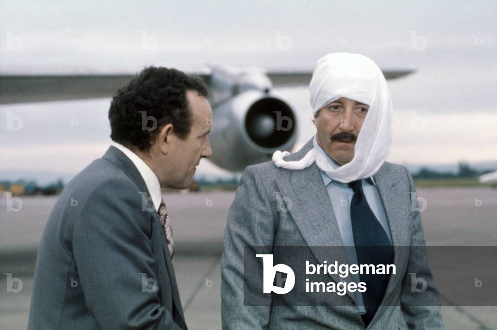 Quand la panthere rose s'emmele