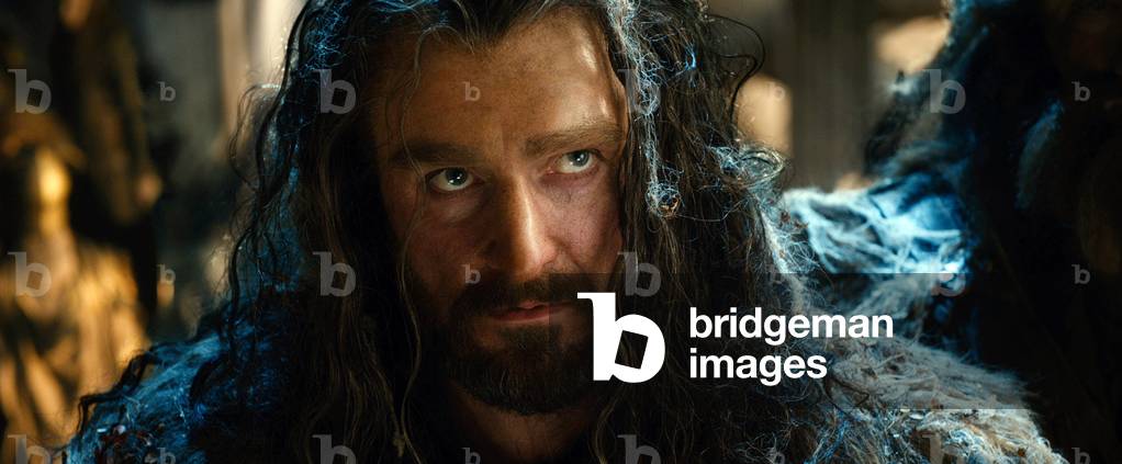The Hobbit: The Desolation of Smaug by Peter Jackson, 2013