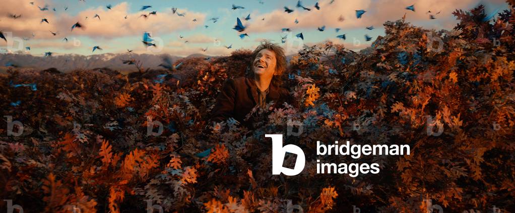 The Hobbit: The Desolation of Smaug by Peter Jackson, 2013
