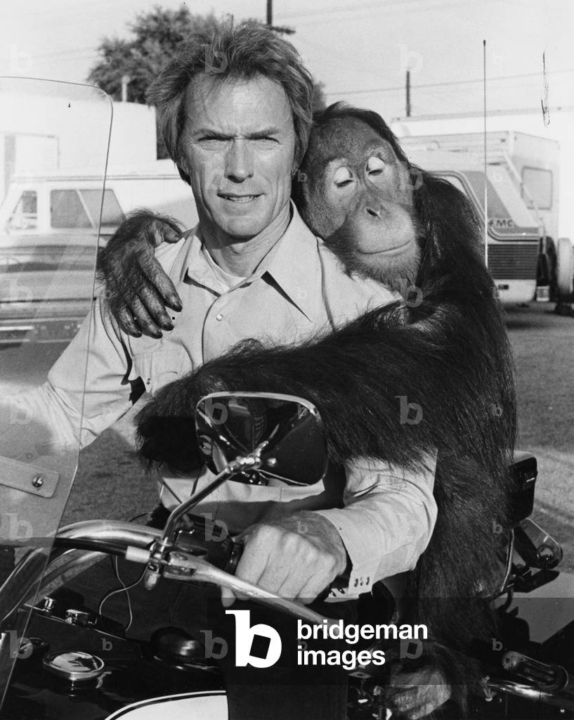 Every Which Way But Loose directed By James Fargo,1978