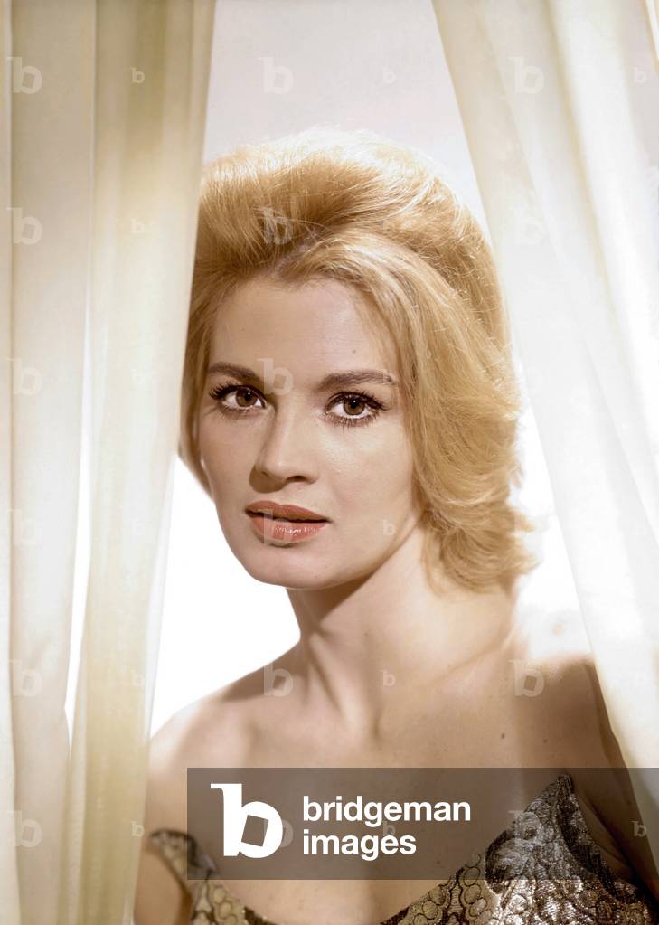 Angie Dickinson, The Bramble Bush 1960 Directed By Daniel Petrie