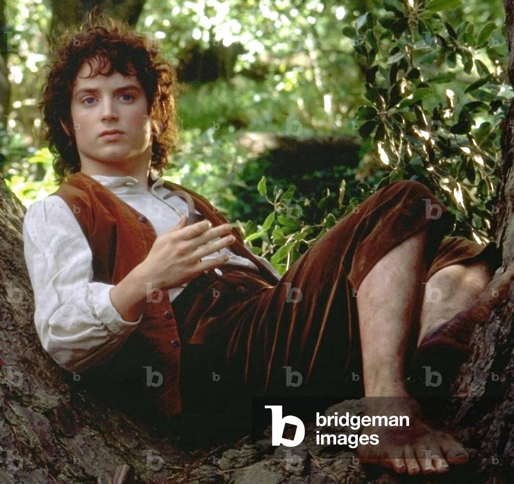 The Lord of the Rings: The Fellowship of the Ring by Peter Jackson, 2001