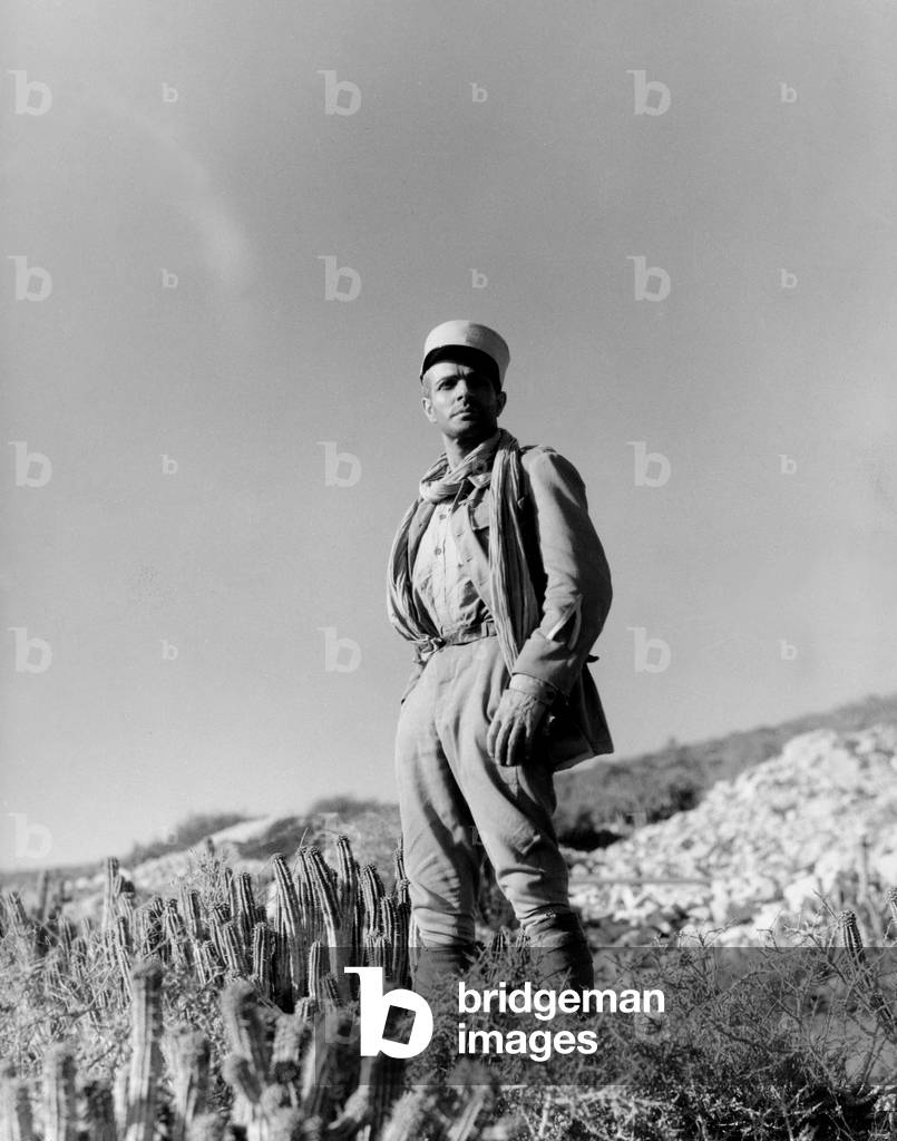 Pierre Richard-Willm