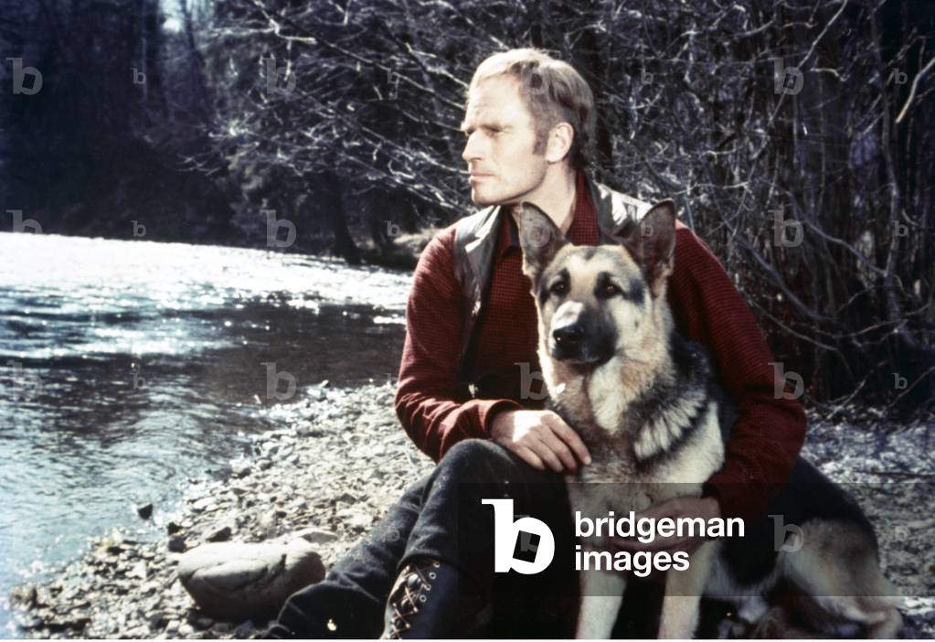 Charlton Heston , The Call Of The Wild 1972 Directed By Ken Annakin