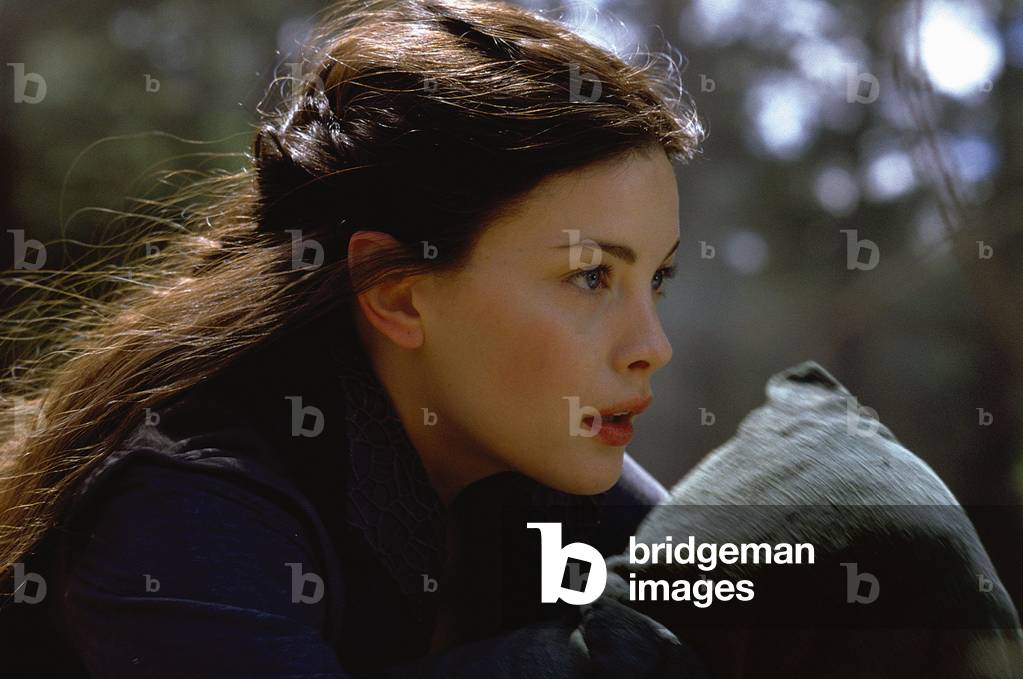 The Lord of the Rings: The Fellowship of the Ring by Peter Jackson, 2001