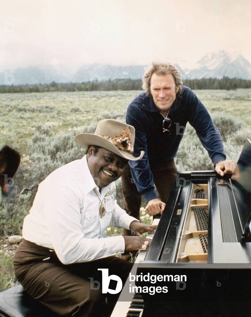 Any Which Way you can directed by Buddy Van Horn, 1980