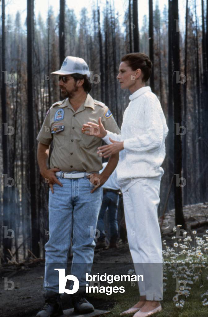 Always 1989 Directed By Steven Spielberg