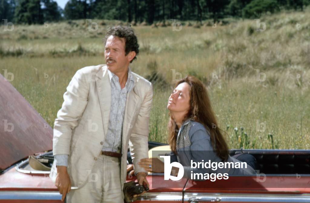 Bring Me the Head of Alfredo Garcia by Sam Peckinpah, 1974