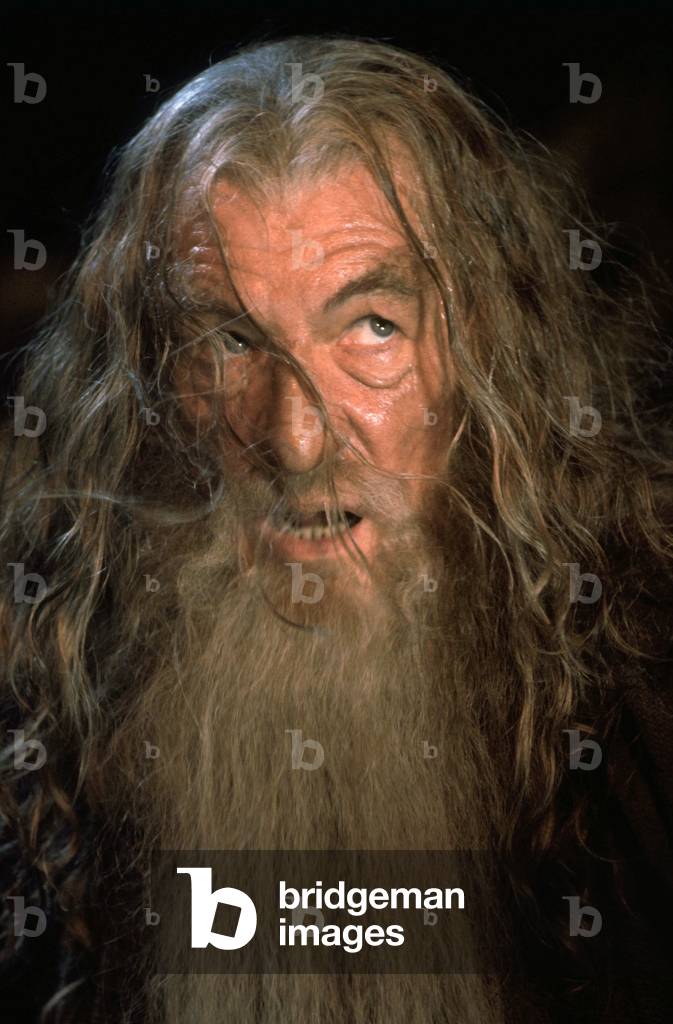 The Lord of the Rings: The Fellowship of the Ring by Peter Jackson, 2001