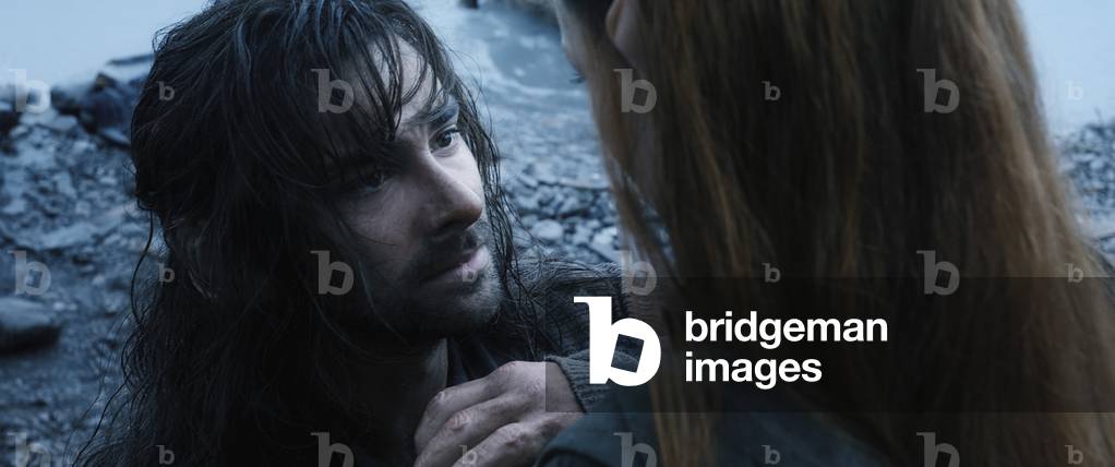 The Hobbit: The Battle of the Five Armies by Peter Jackson, 2014