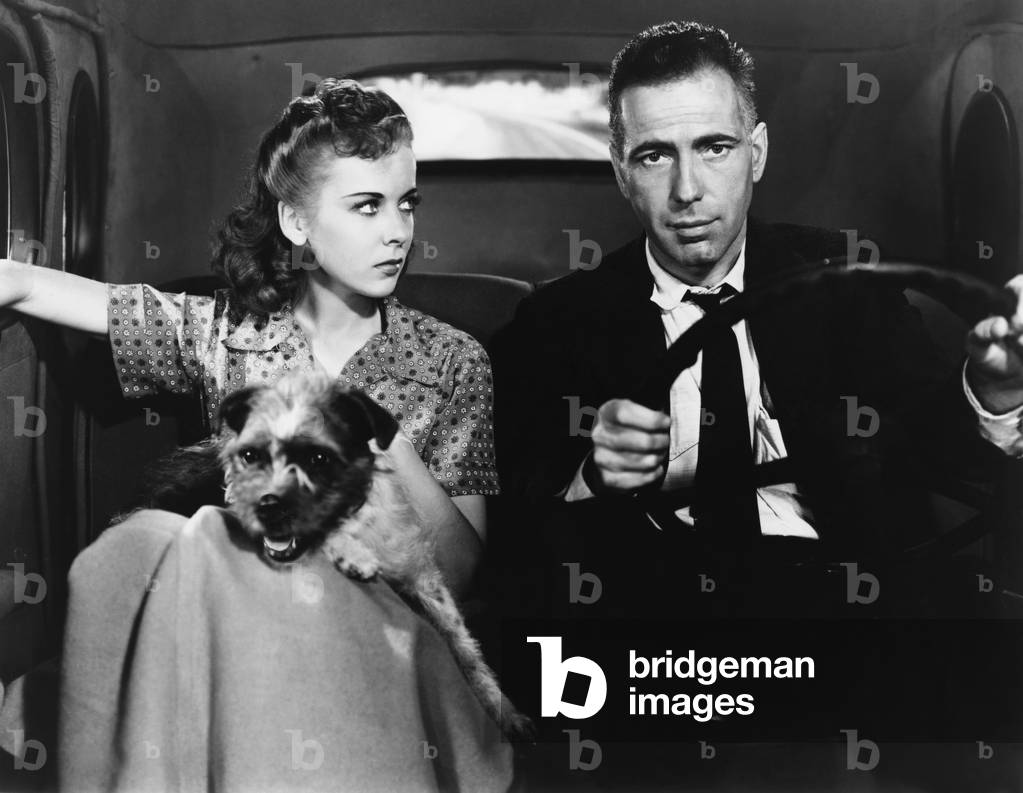 High Sierra - La grande evasion 1941 directed by Raoul Walsh; Warner Bros. Pictures; Ida Lupino; Humphrey Bogart