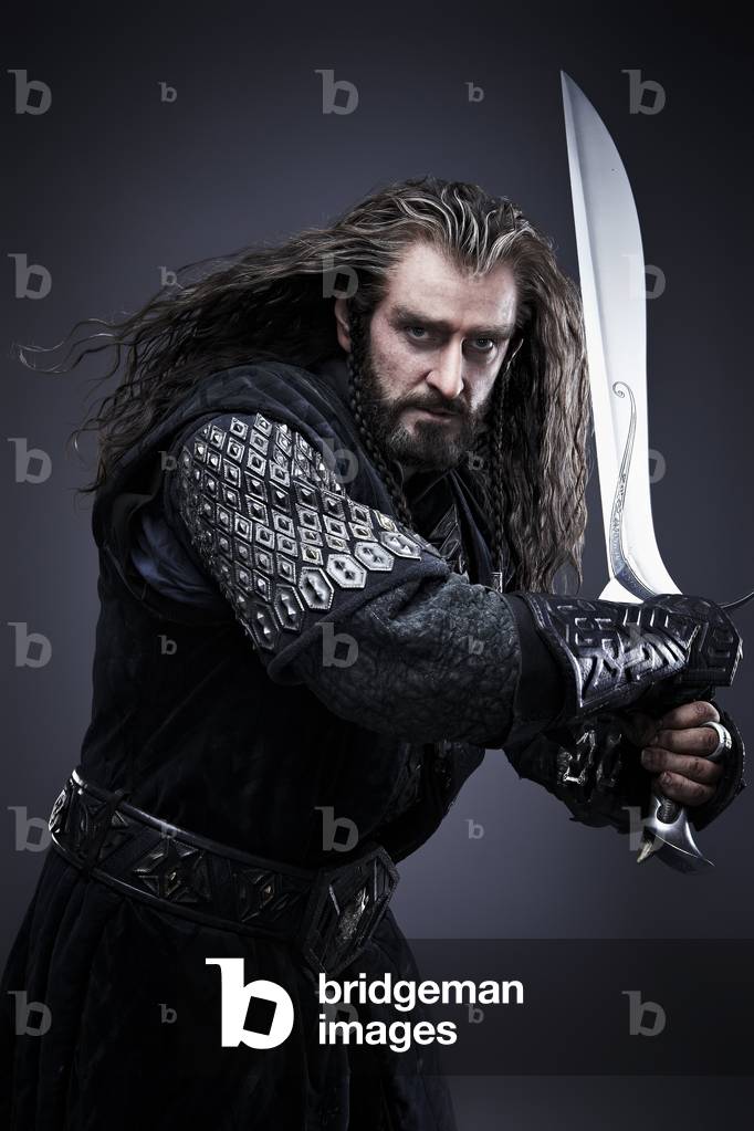 The Hobbit: The Desolation of Smaug, 2013