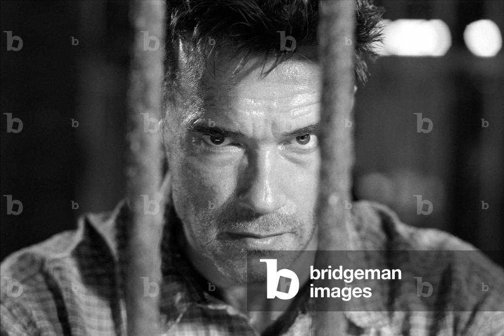 Arnold Schwarzenegger, Collateral Damage 2001 Directed By Andrew Davis