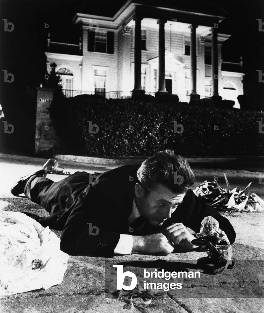 Rebel Without A Cause directed by Nicholas Ray, 1955