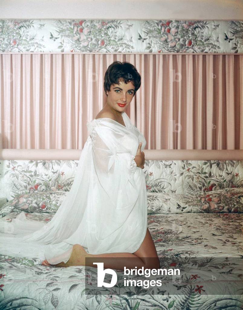 Elizabeth Taylor 1954 (photo)