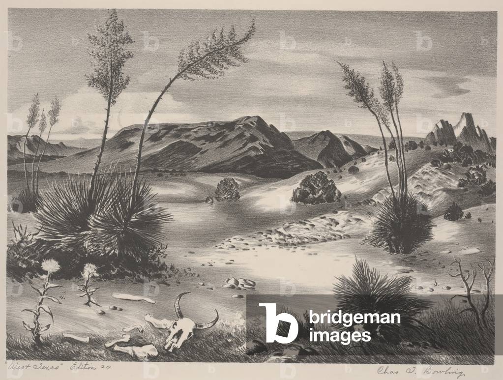 West Texas (litho)